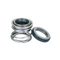 Motor Shaft Seals